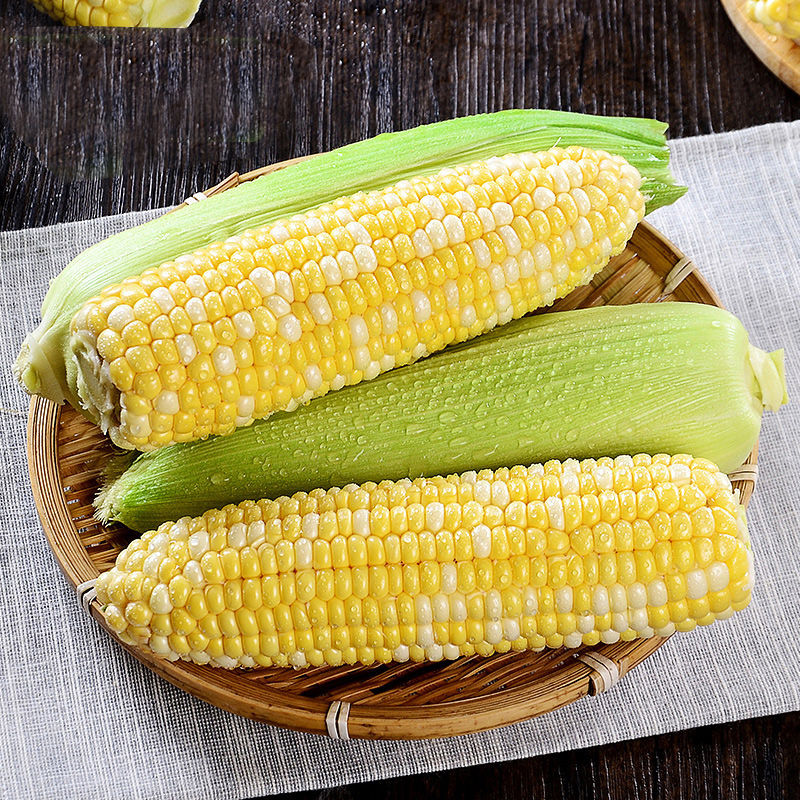 শুকনো ভুট্টা হিমশীতল শুকনো ভুট্টা হিমশীতল