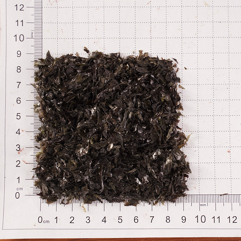 ডিহাইড্রেটেড নুরি ডিহাইড্রেটেড নুরি