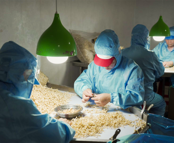 জিংহুয়া মাওশেং ফুড কোং, লিমিটেড