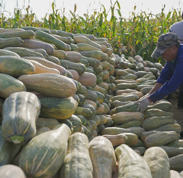 গুণ ও প্রক্রিয়া