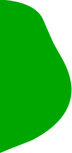 জিংহুয়া মাওশেং ফুড কোং, লিমিটেড